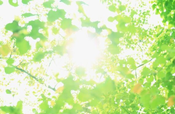 大雨の影響は出ていませんか？